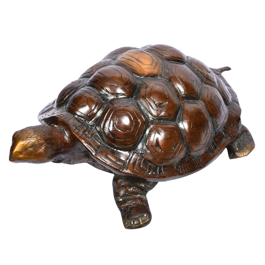 Tortoise - Orange Finish (17 X 7 In)