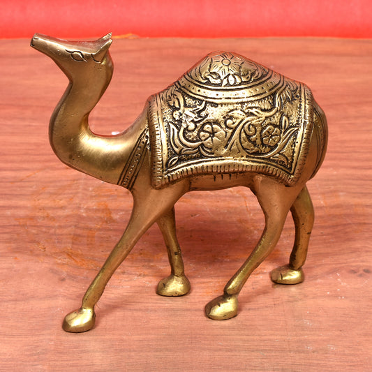 Camel (6 In)