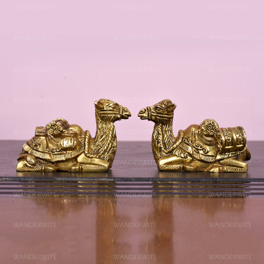 Camel Sitting With Box (4 X 2 In) - Set of 2