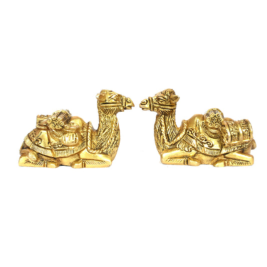 Camel Sitting With Box (4 X 2 In) - Set of 2