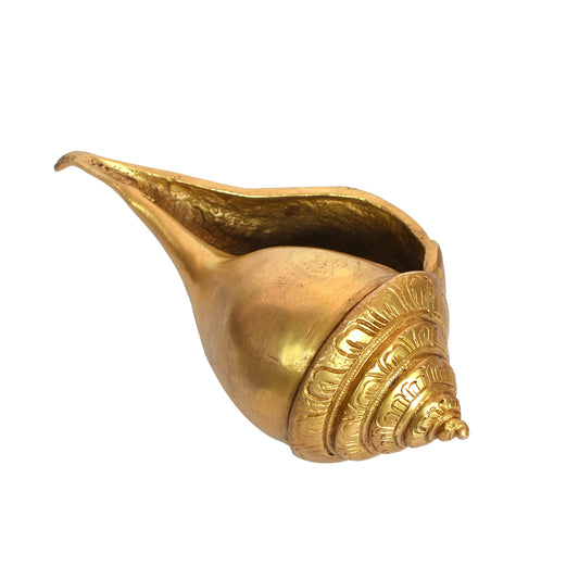 Brass Decorative Shankh Plain (7 In)
