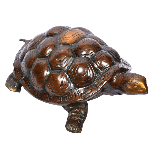 Tortoise - Orange Finish (17 X 7 In)