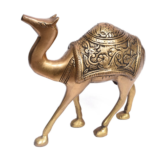 Camel (6 In)